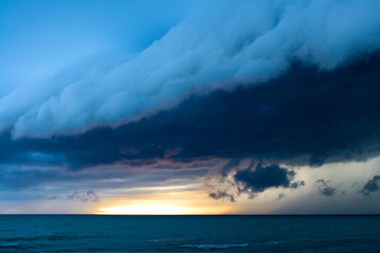 New Heaven, New Earth