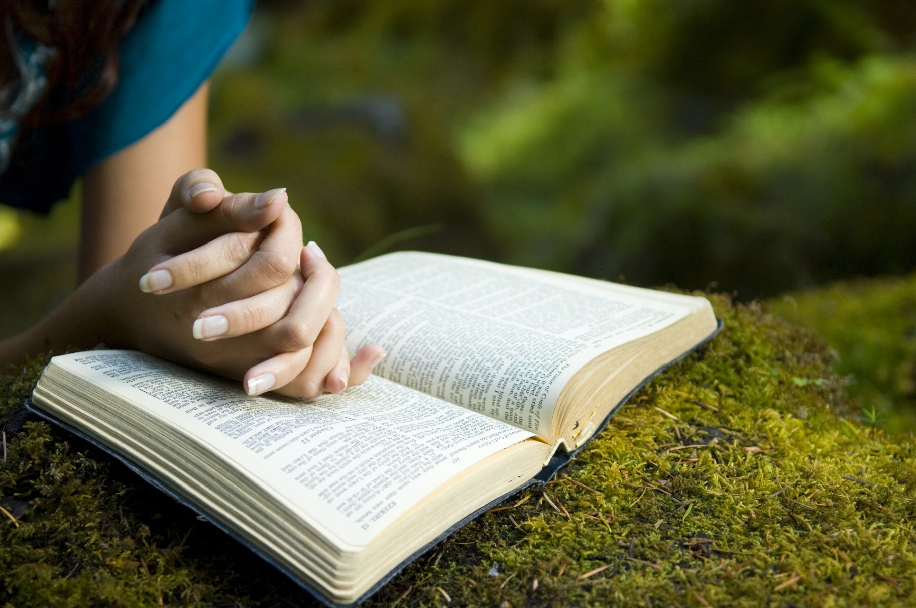 Meditate on Scripture