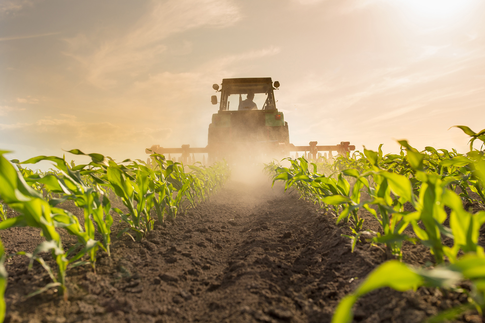 FFA Bars Christian Farmer Group from National Expo over Religious Affiliation, Failure to Hit DEI Goals