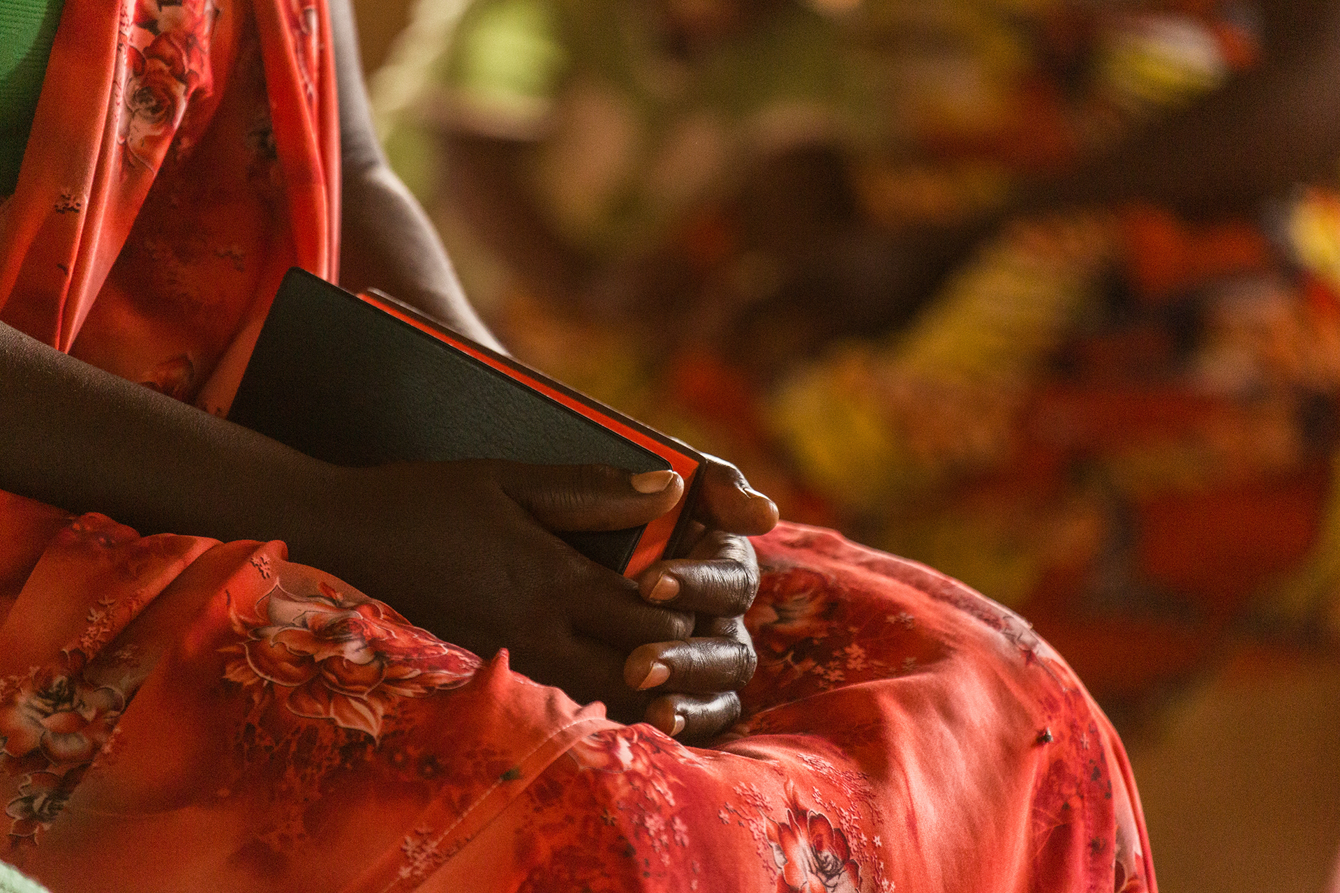 Bible Translation Hits Landmark 800th Language Mark