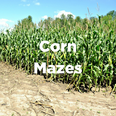 Corn Mazes