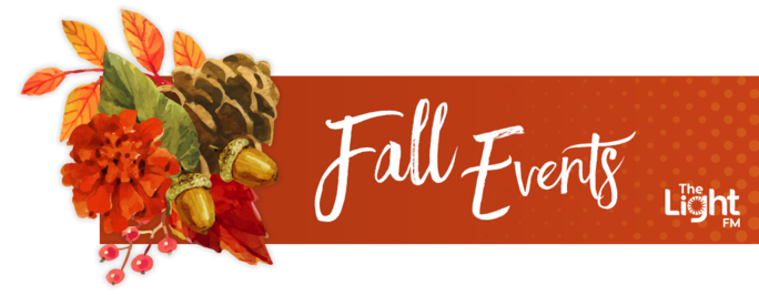 The Light's Fall Guide