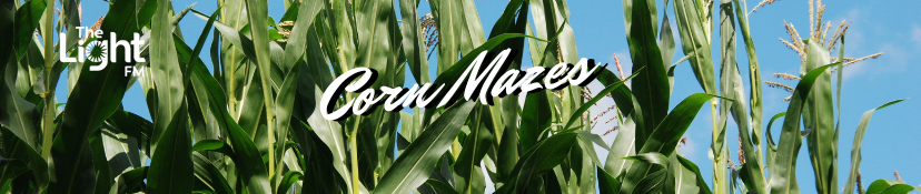Corn Mazes