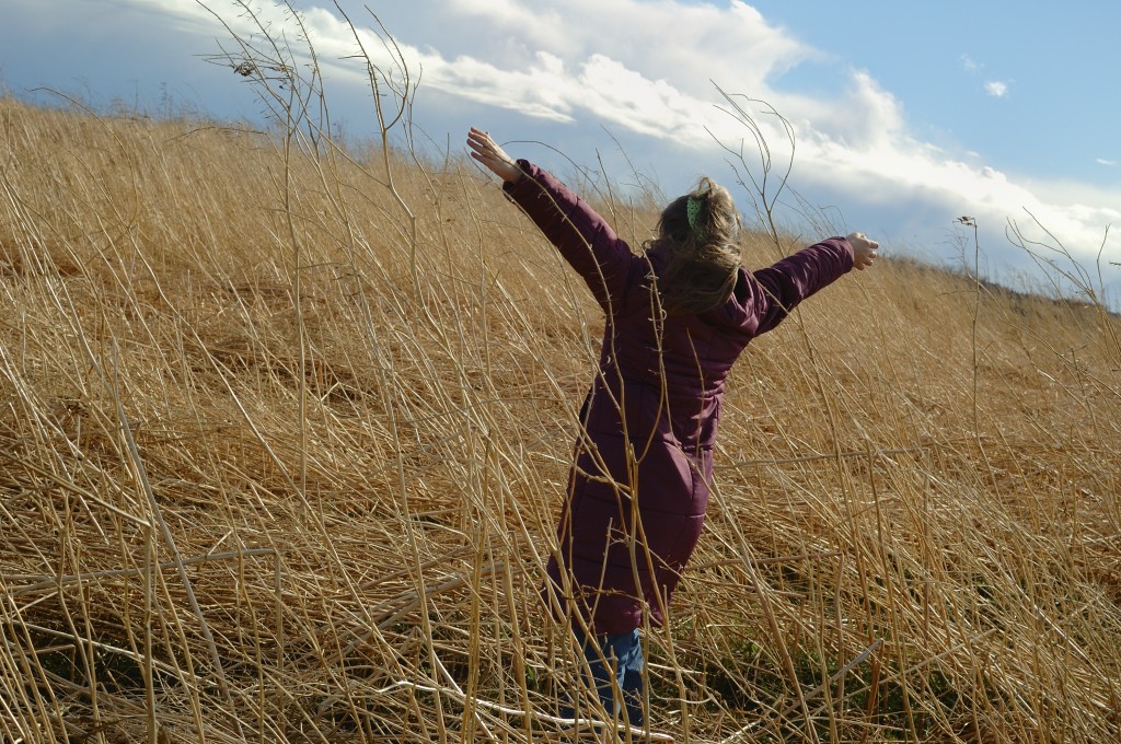 field