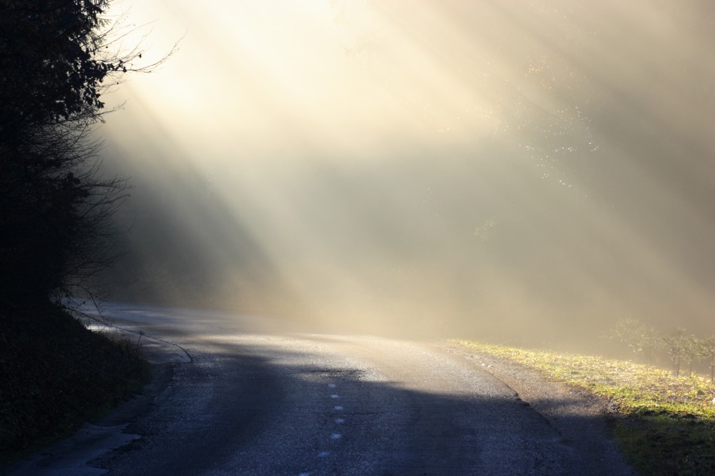 rays of light