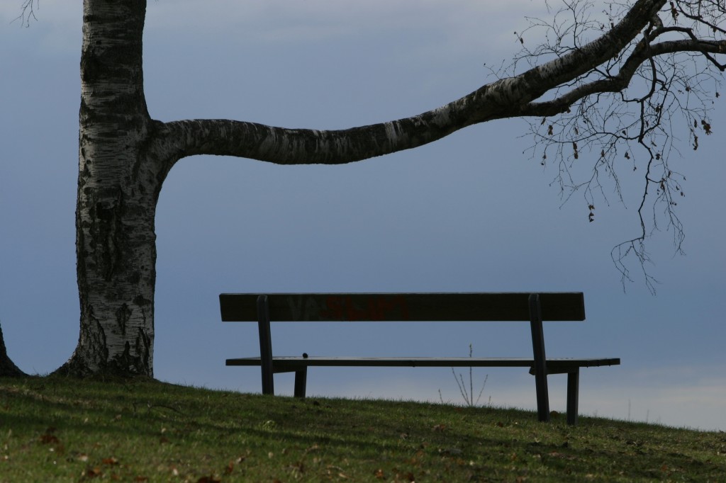 bench on gloomy day