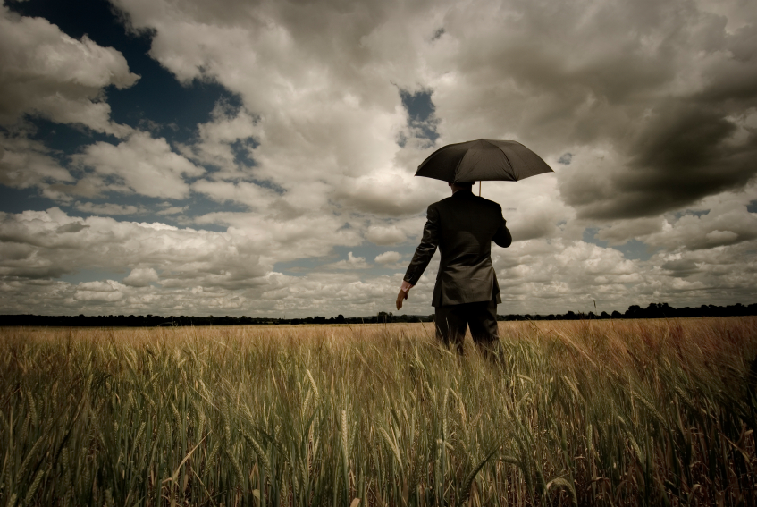 business man in field with umbrella