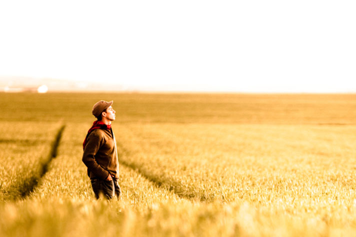 man in field