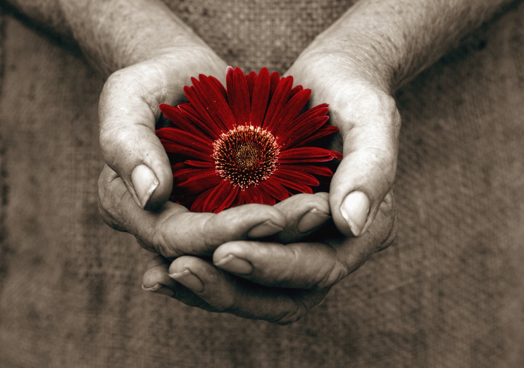 Flower in hands