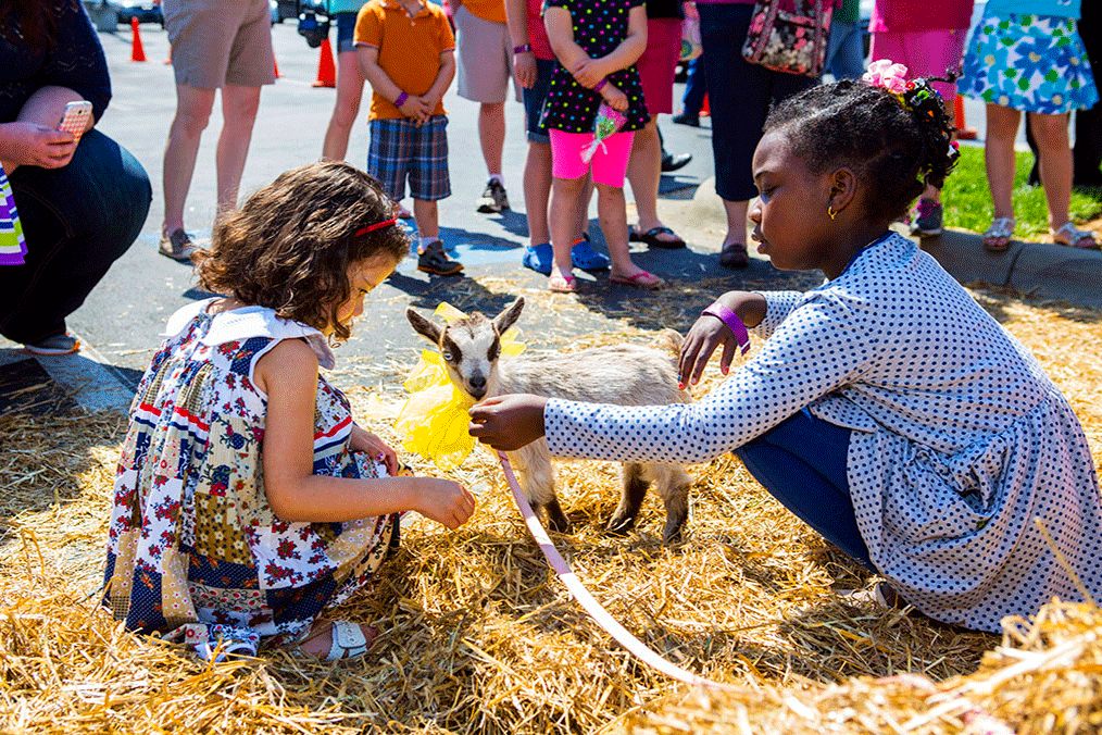 Girls pet "Pipp" the goat