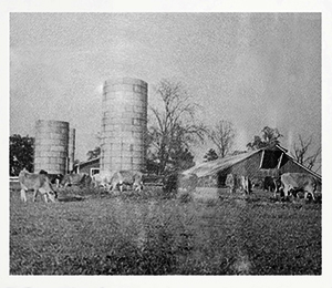 In May of 1934 at the dairy farm of Billy Graham's father, W. Frank Graham, a group of businessmen gathered and prayed for God to raise up an evangelist from Charlotte to spread the Gospel.