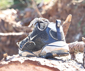 A shoe found laying on a fallen over tree in Louisville, Miss. 