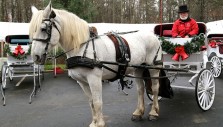 War Veteran Traveling the Country Takes the Reins at Billy Graham Library