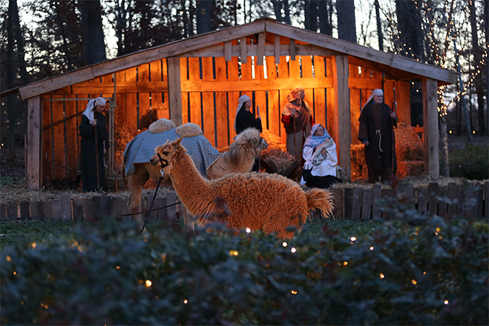 Live Nativity scene; Volunteers as Mary, Joseph, shepherds; also a camel, llama