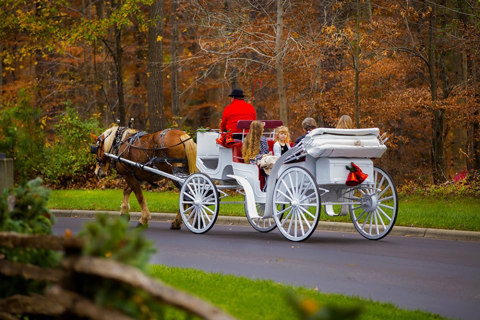 Children and parents ride in a horse-drawn carriage