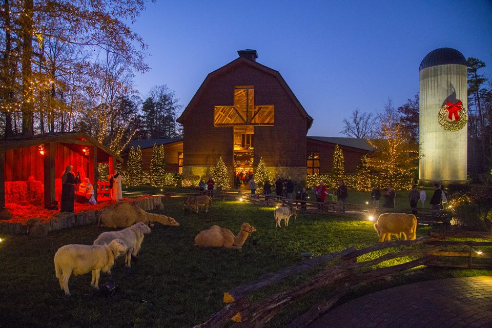 Library lit up, nativity animals out front