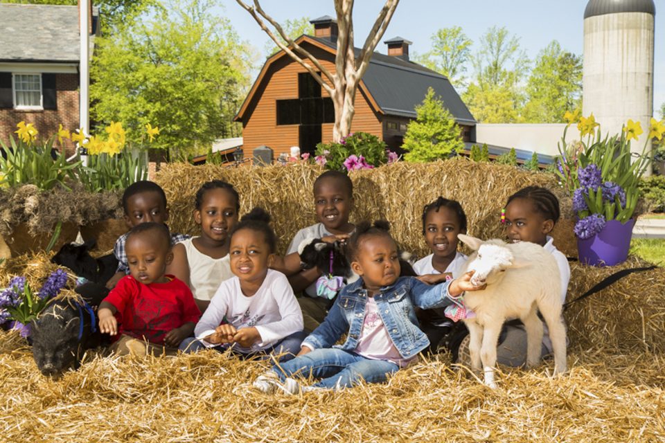 Eight children pose with a baby lamb