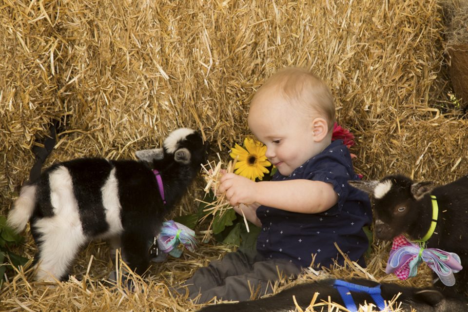 A baby with a black and white baby goat