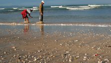 Seashell Evangelist Surprises NC Beachgoers