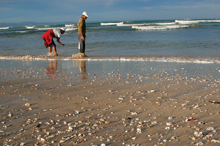 Seashells by MillhillBoating North to Ponce Inlet and Disappearing