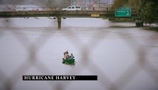 Help Hurricane Harvey Victims