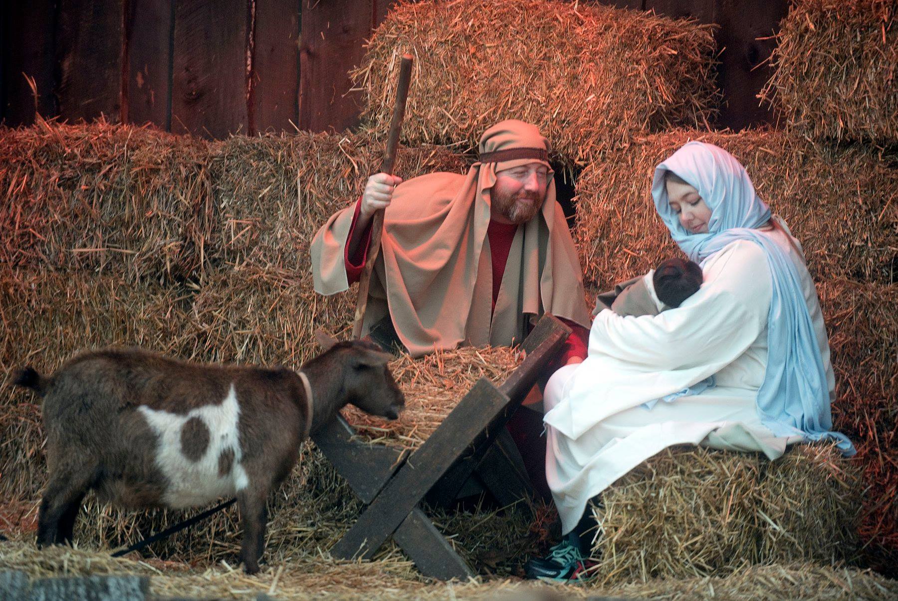 Librarynativity Librarynativity