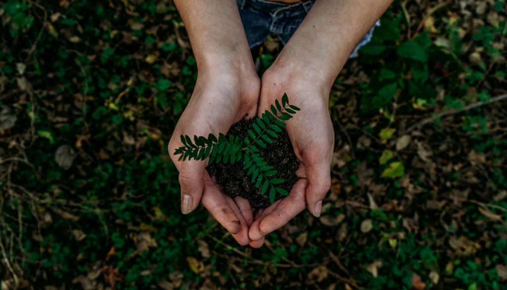 Earth Day Does God Care About The Environment