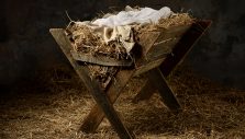 The Most Purposeful Birth in History