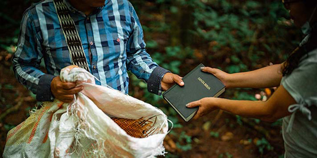 Secret Bible middle of the forest_FT TW