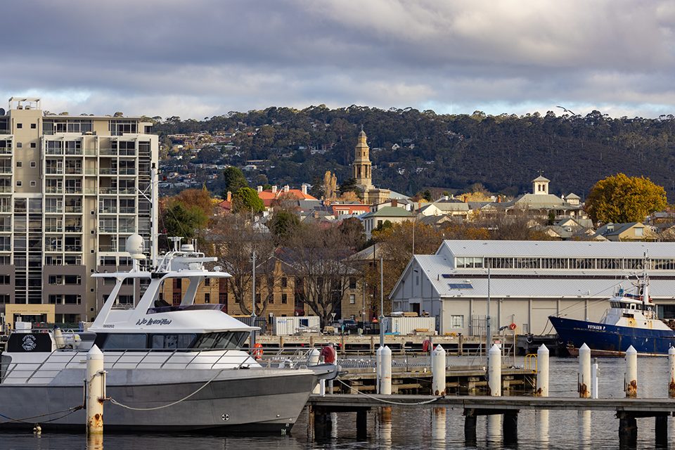 boats in harbor