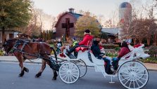 Bring Friends and Family to ‘Christmas at the Library’