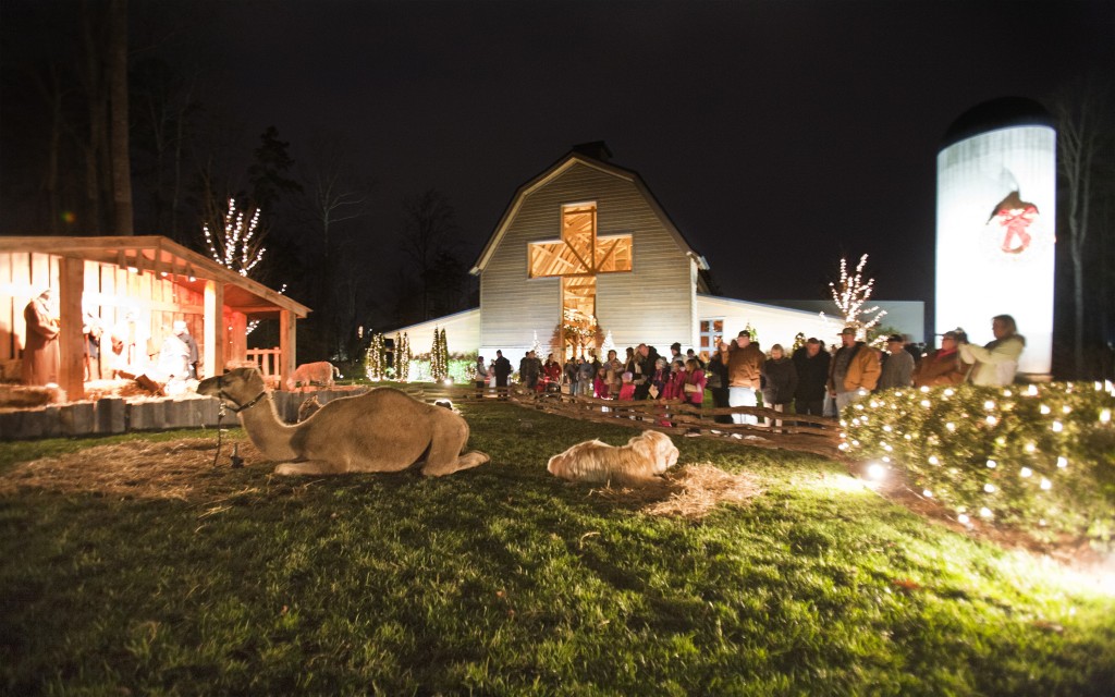 Christmas at The Library