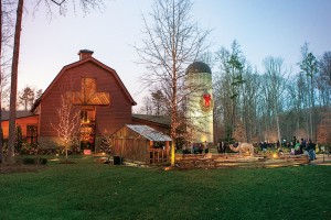 Christmas at the Library