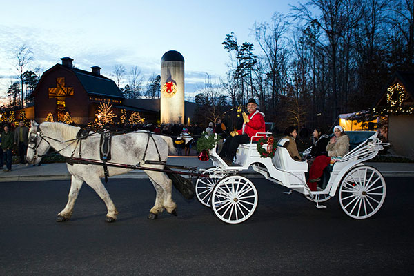 Carriage Rides