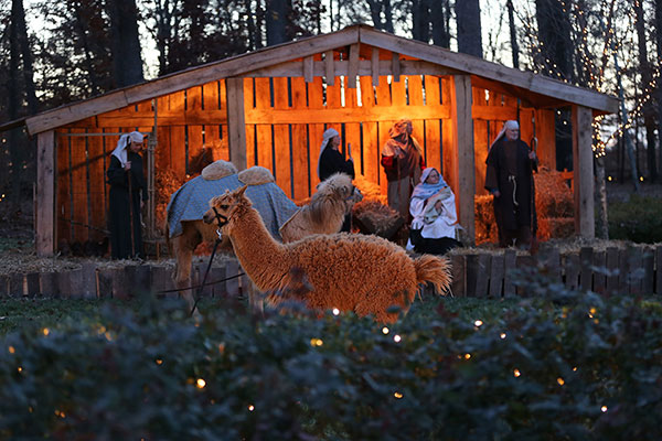 Christmas at the Library - The Billy Graham Library