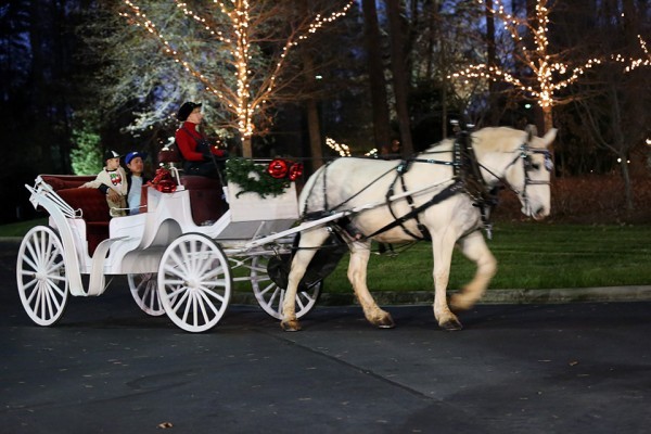 Christmas at the Library