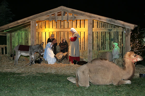 Christmas at the Library