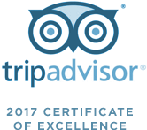 Trip Advisor