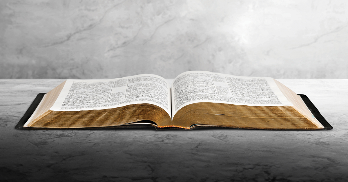Foundations of the Faith: Why We Can Trust the Bible Foundations of the Faith: Why We Can Trust the Bible