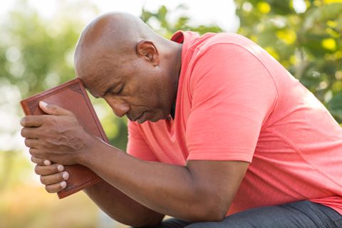 &nbsp;