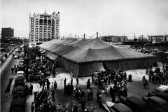 Crowds gather outside the "canvas cathedral" at the 1949 Billy Graham Crusade in Los Angeles where some 350,000 people hear Graham preach.