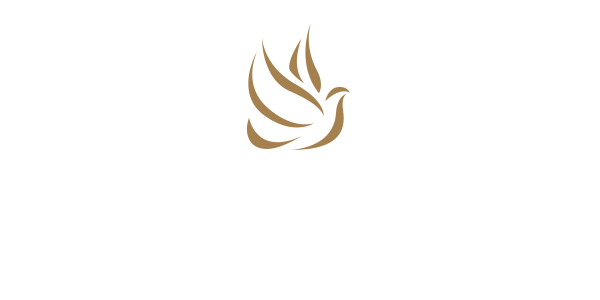 Vietnam Delegation Visit Newsroom