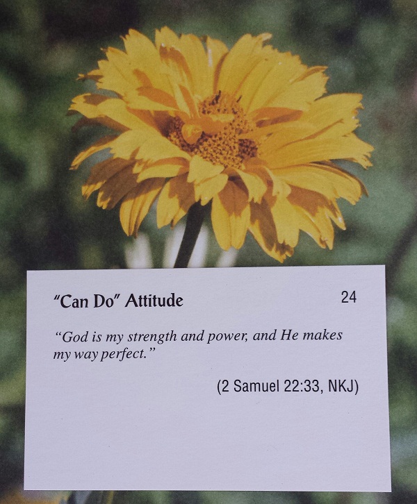 Cove Bible Verse for Week of June 16th Notes from the Cove