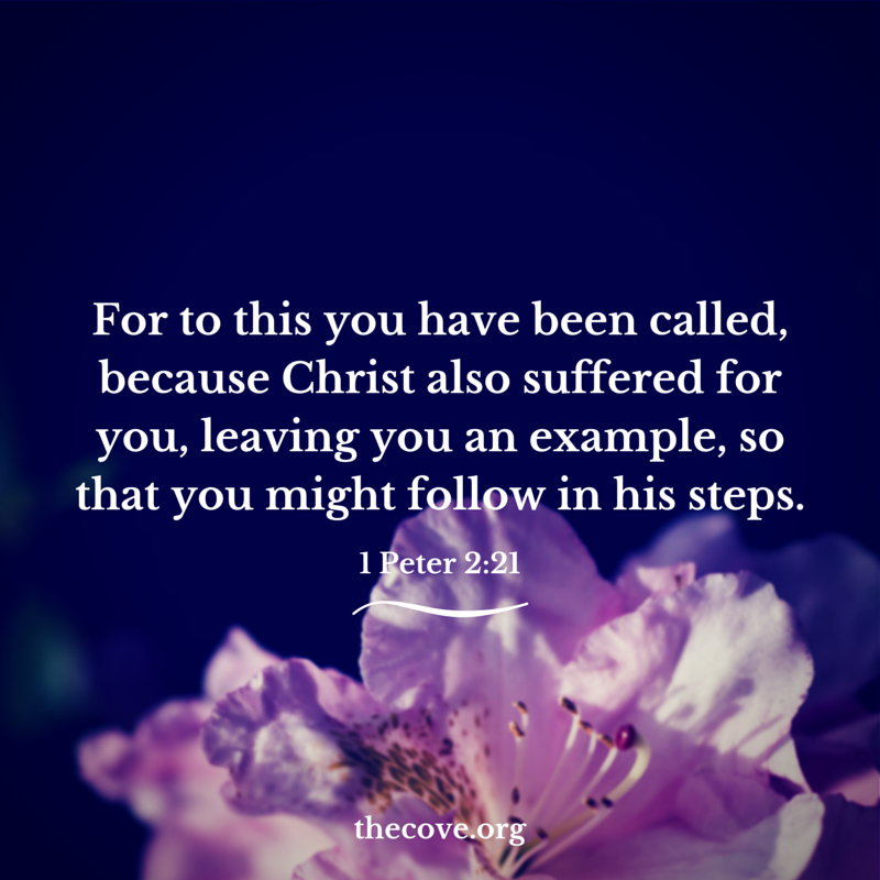1 peter 2-21