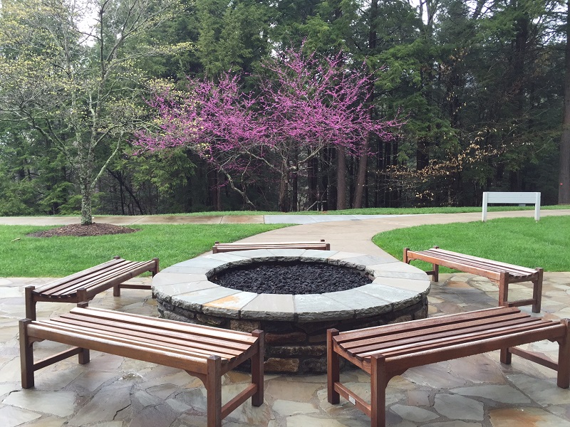 Redbud at the TC April 2015