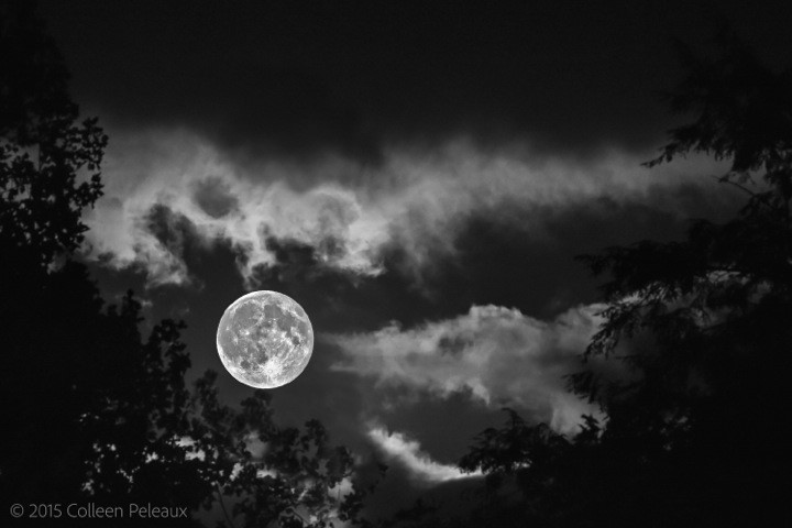 Moon off the TC deck from guest 2
