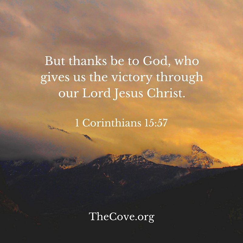 Cove Bible Verse for week of November 23 - Notes from the Cove