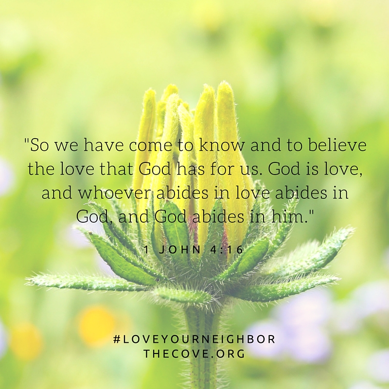 april 4 Notes from the Cove