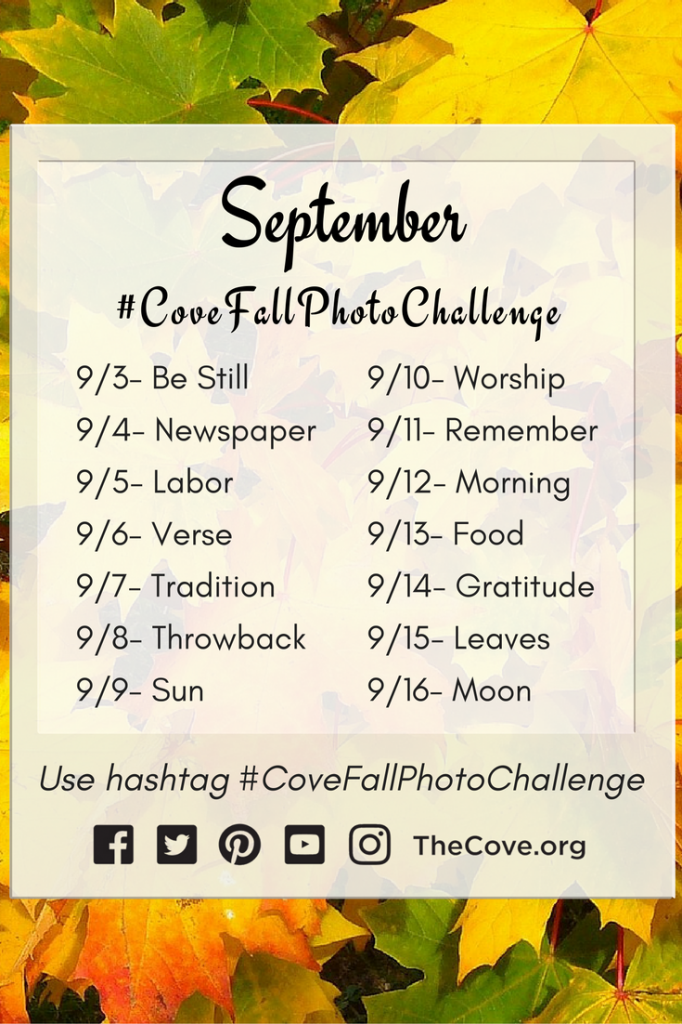 Fall_Photo_Challenge_Pinterest_2016