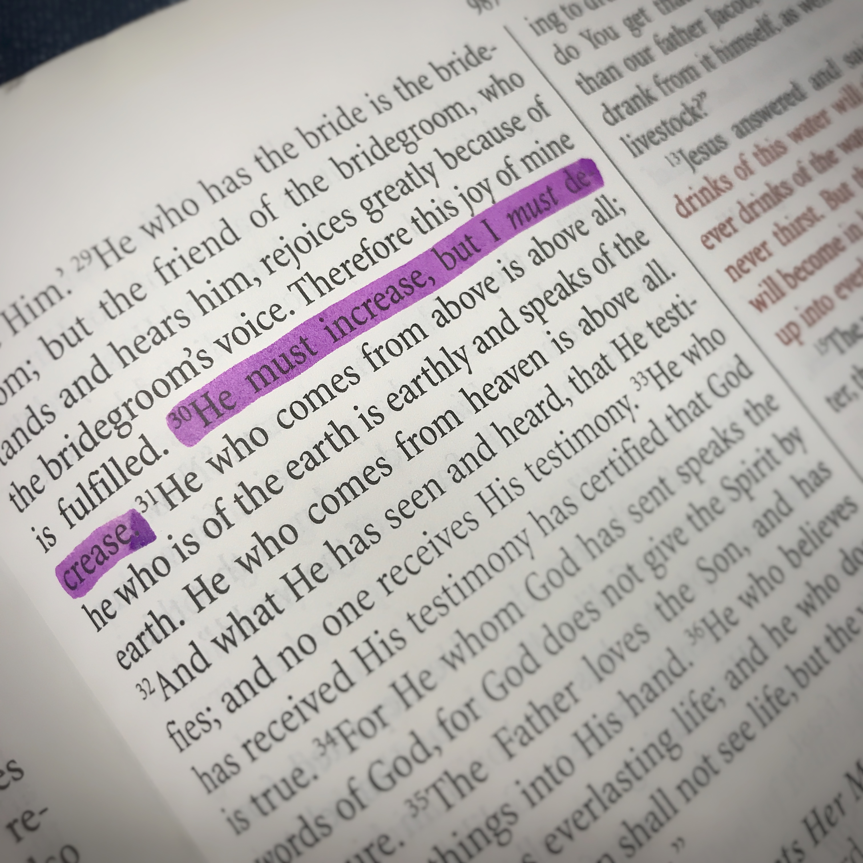 Scripture Archives Notes from the Cove